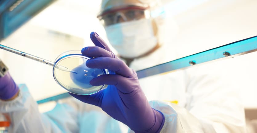 A scientist in protective gea rhandles a petri dish under a chemical hood.