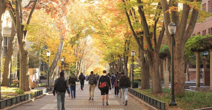 A group of students walks down a brick pathway on a college campus in autumn.