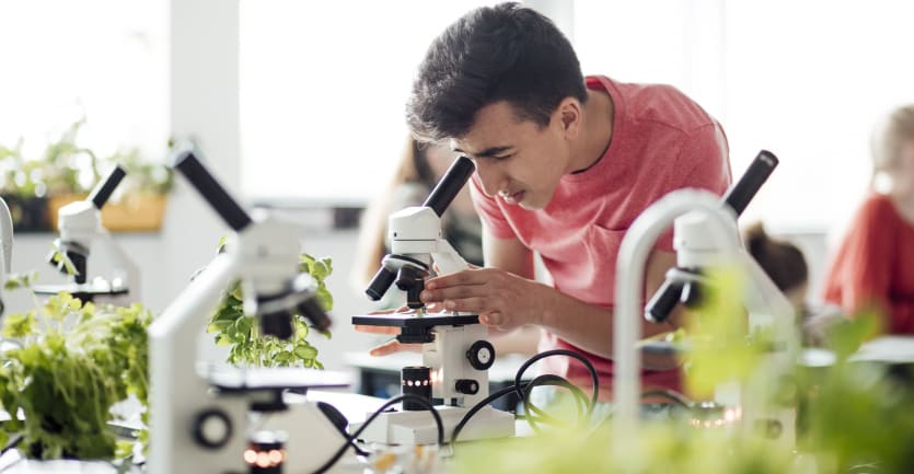 A biology student in a t-shirt standing in a  brightly lit lab filled with many houseplants peers into a microscope.