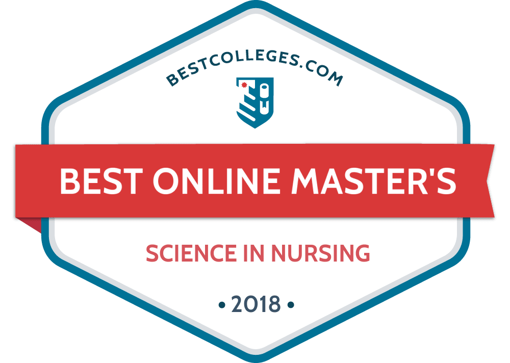 Synthesis Essay Ideas Best Online Masters Essay Writing Examples English also Healthy Food Essay The Best Online Msn Programs Of Bestcollegescom Sample Thesis Essay
