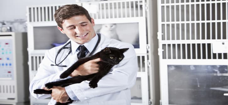 The 5 Best Jobs Working With Animals | BestColleges The 5 Best Jobs Working With Animals | BestColleges