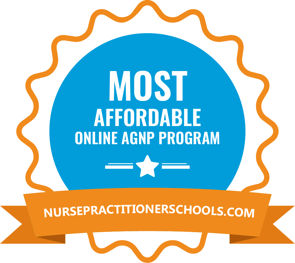 Online Adult Gerontology Nurse Practitioner Programs Agnp - 