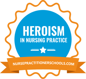 Heroism In Nursing Practice Psychiatric Np Heroes - 