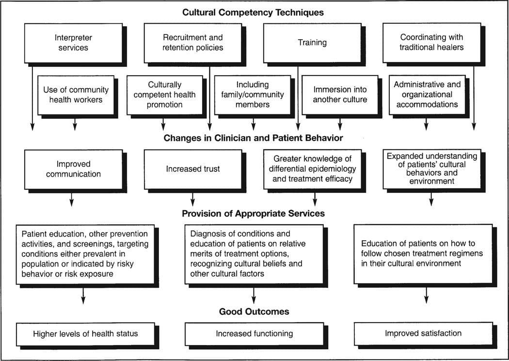 Culturally Competent Care Definition Examples