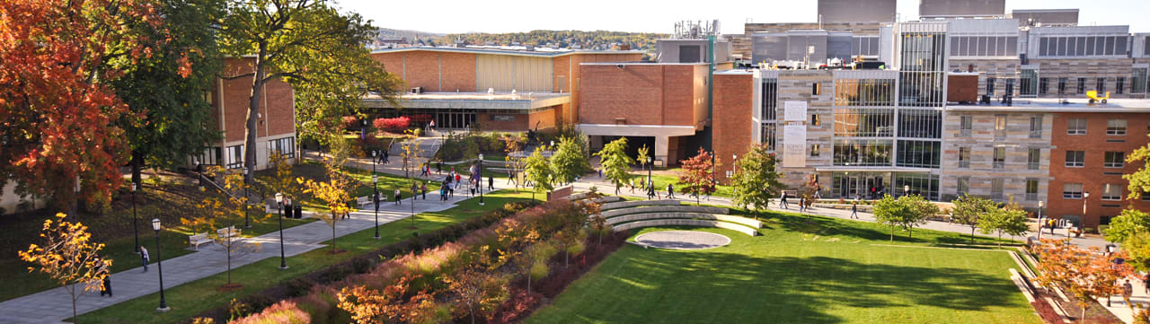 the-university-of-scranton-online-masters-accounting