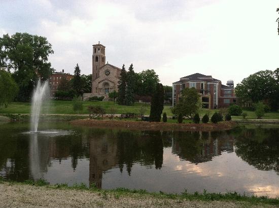 St. Catherine University Accredited Online Accounting Degree