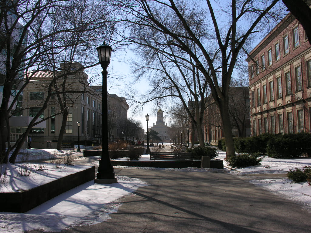 University of Iowa Best Actuarial Science Degrees