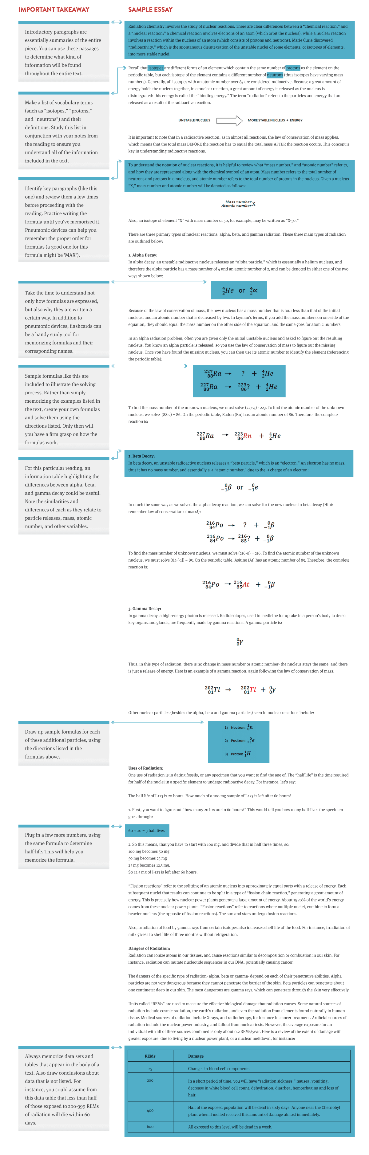 essay sample