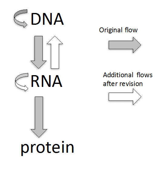The Central Dogma of Molecular Biology, DNA, RNA, proteign