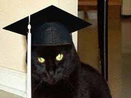 Colby the Cat