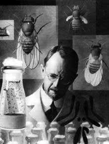 T.H. Morgan's Fly Room