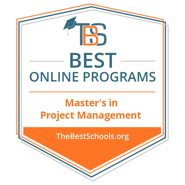 The Strategic Project Leader Mastering Service Based Project Leadership