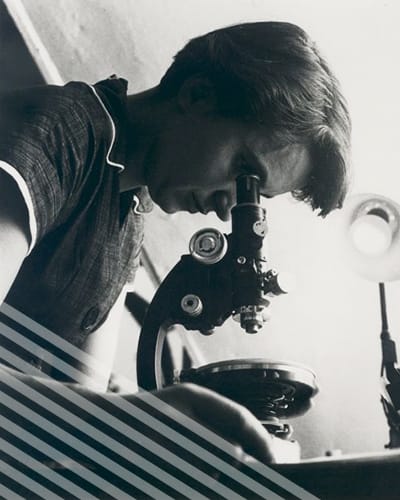 A young Rosalind Franklin, wearing a short bob and a collared short-sleeved shirt, peers down into a microscope.