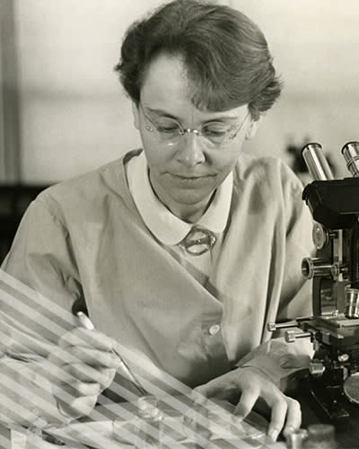 Barbara McClintock, wearing glasses and a lab coat, carefully conducts tests uwith a microscope and petri dishes.