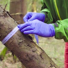 Best Online Bachelor’s in Environmental Science Programs of 2021
