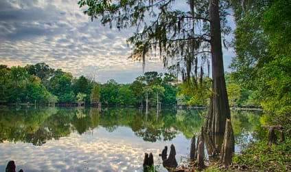 Card Thumbnail - Best Colleges in Mississippi