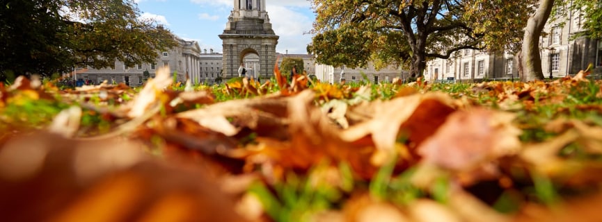 Will College Campuses Reopen in the Fall?