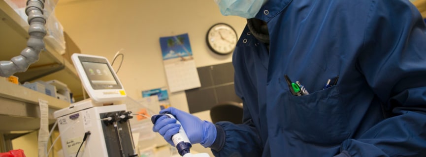 How Universities Are Helping in the Fight Against COVID-19