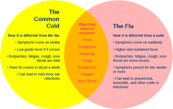Illustration of the common cold vs the flu