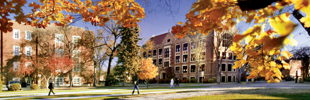 Brescia-University-Online-Bachelor-of-Science-in-Addictions-Counseling