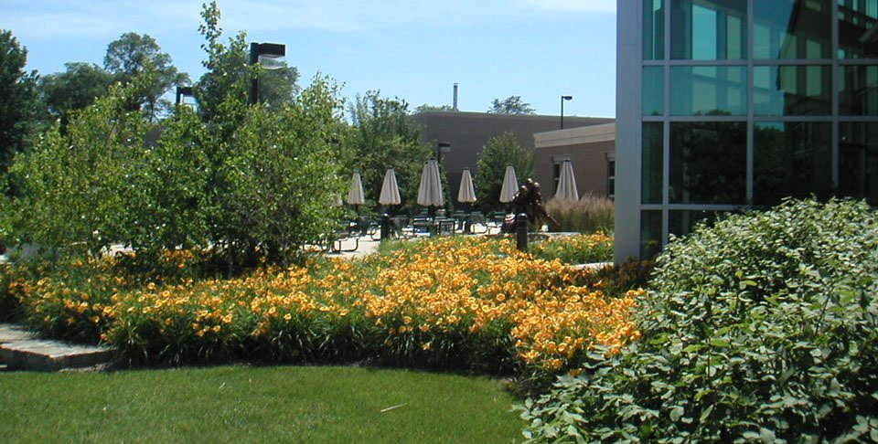 Allen College Best Value Colleges Iowa