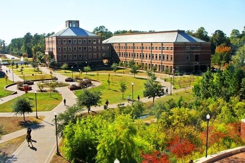 Georgia Southern University Best Online MBA Degrees