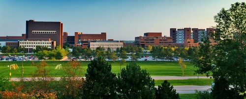 University of Buffalo Best Biomedical Engineering Degrees