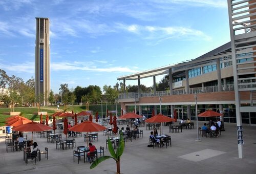 University of California Riverside Best Biomedical Engineering Degrees