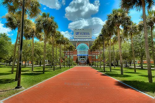 University of Florida Best Online MBA Degrees