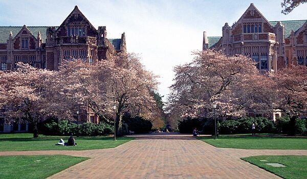 University of Washington Best Biomedical Engineering Degrees