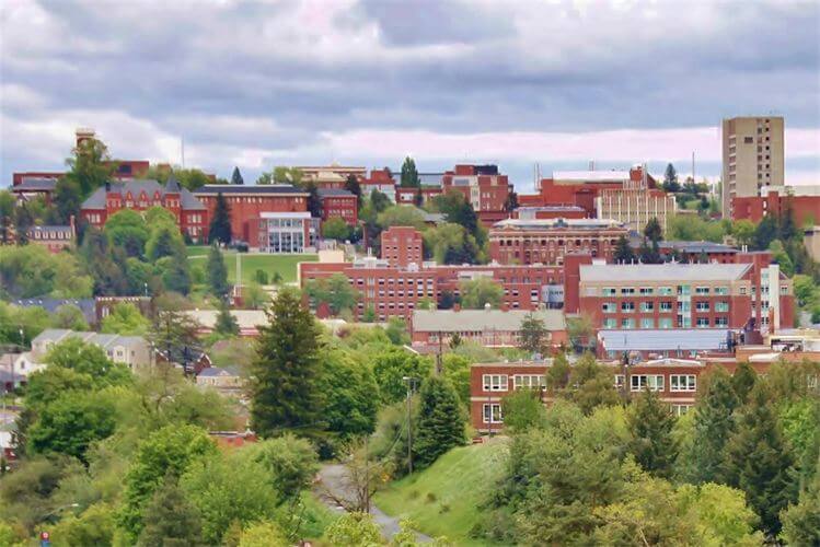 Washington State University Best Online MBA Degrees