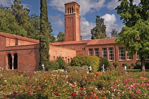 California State University Chico Best Value Online Schools in California
