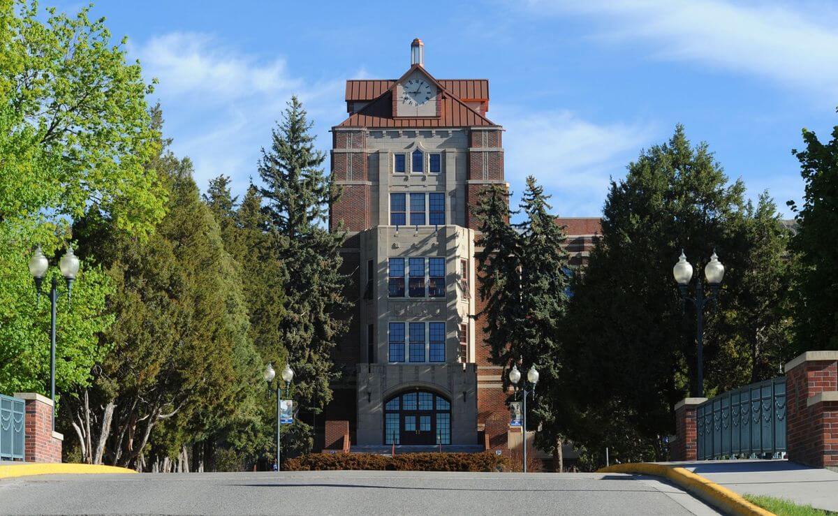 montana-state-university-billings-best-value-online-schools-in-new-mexico
