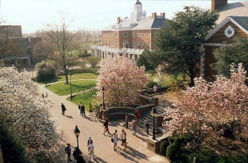 Washington College Best Value Small Colleges for an Environmental Science Degree
