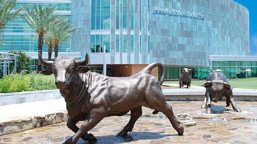 University of South Florida Best Value Colleges for Students with Autism