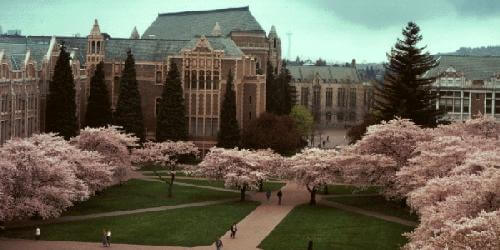 University of Washington Seattle Best Value Colleges for LGBTQ Students