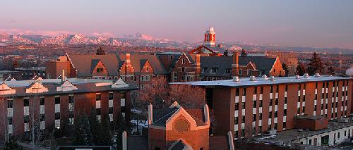 Regis University Online MSN Programs