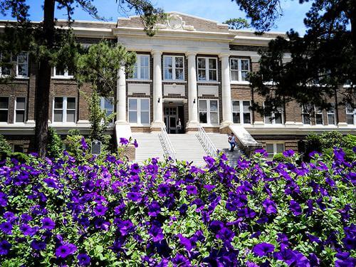 Stephen F Austin State University Online Educational Leadership Masters Degree Programs