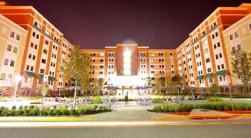 University of Central Florida Online MSW Degree Programs