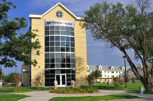 Angelo State University Online Educational Counseling Degree Programs