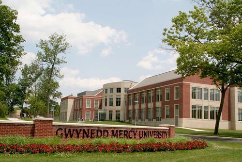 Gwynedd Mercy University Online Educational Counseling Degree Programs