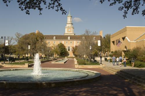 University of North Texas Online Educational Counseling Degree Programs