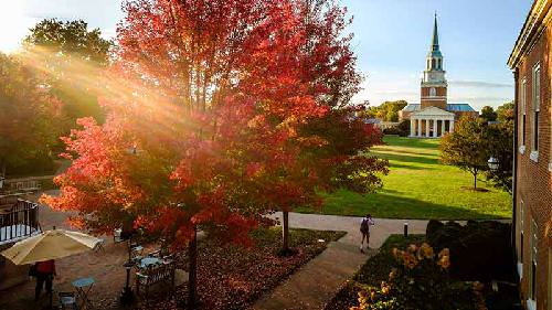 Wake Forest University Online Educational Counseling Degree Programs