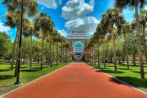University of Florida Business Administration Degree Online Programs