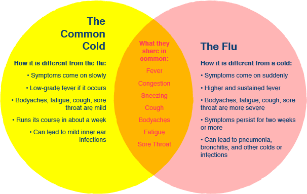 Illustration of the common cold vs the flu