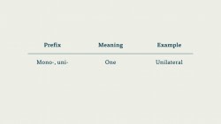 Medical Prefix And Suffix Chart