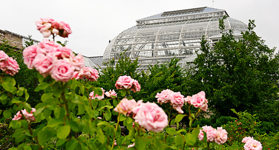 The 10 Best College Botanical Gardens | The Best Colleges