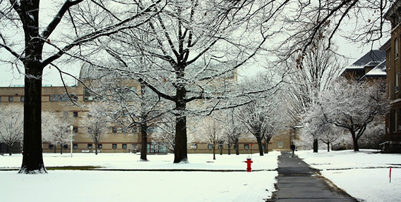 10wintercampus1