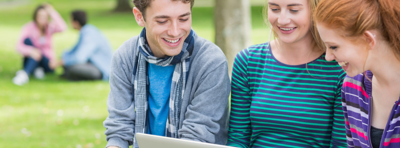 Group of young college students using laptop in the park - Image