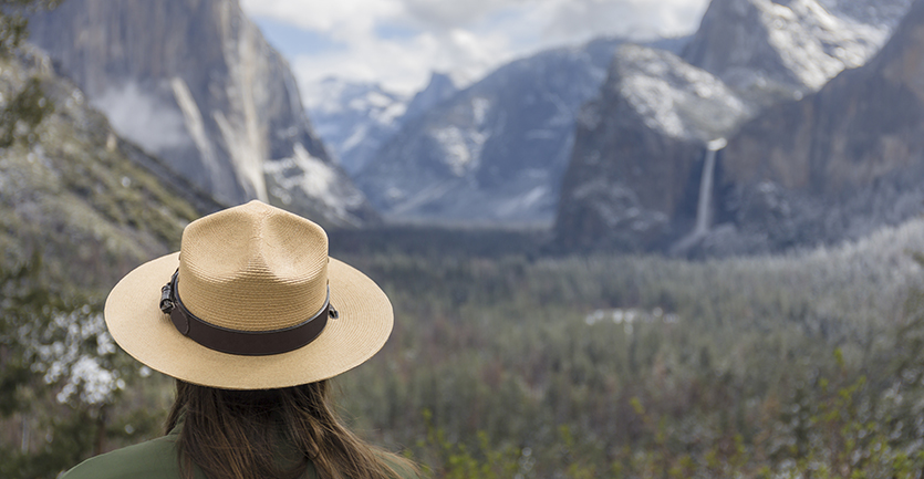 A park ranger surveys a wooded valley.